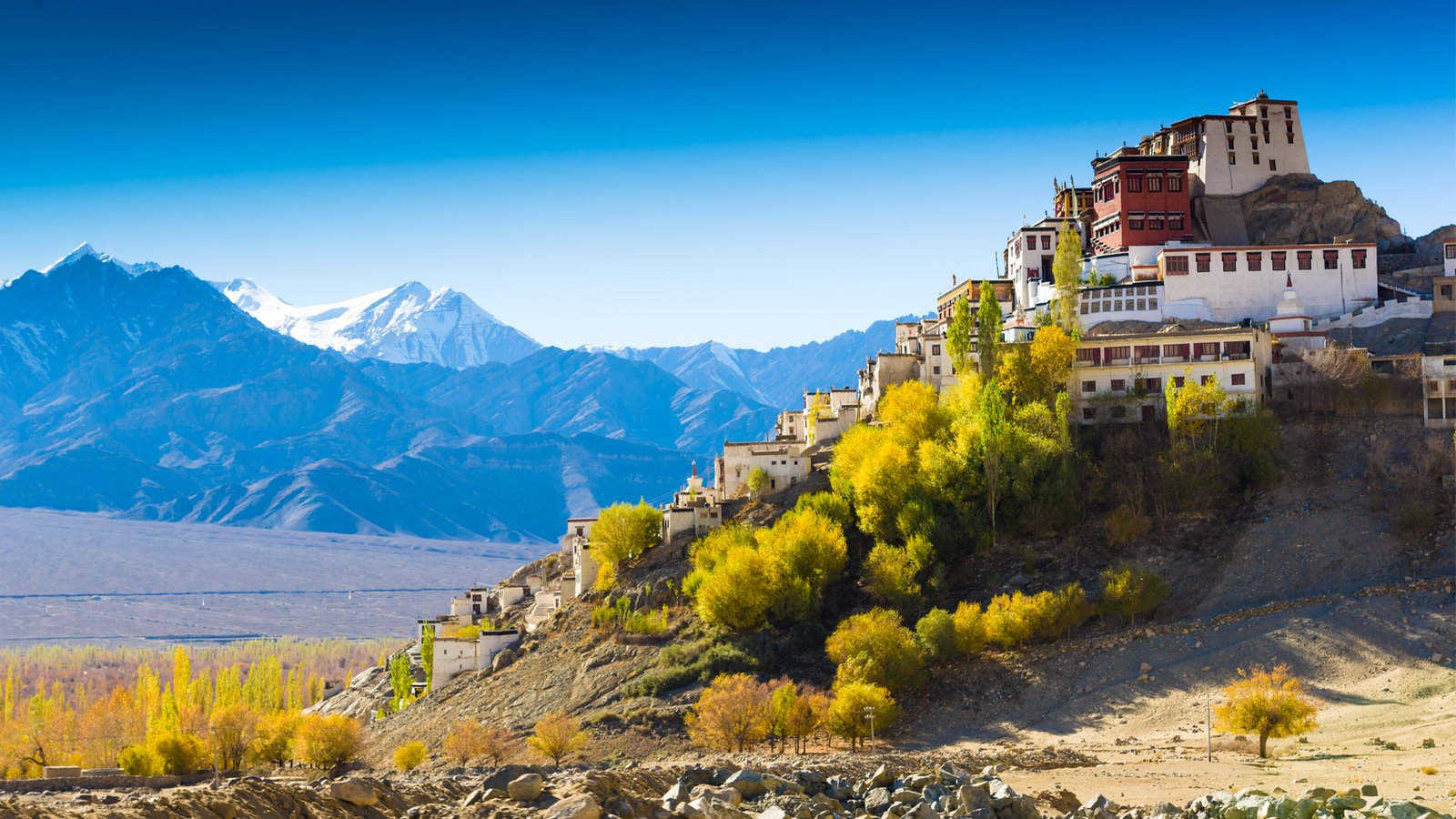 Spiti Tour